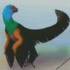 Caihong juji diamond painting