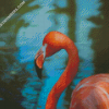 diamond paintings