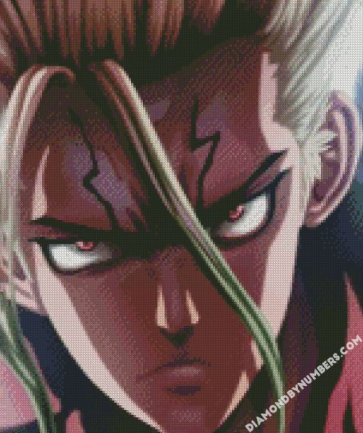 Japanese Dr stone diamond paintings
