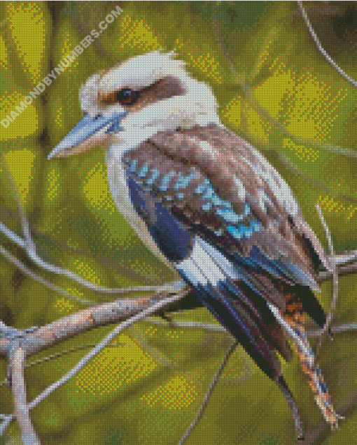Diamond Paintings