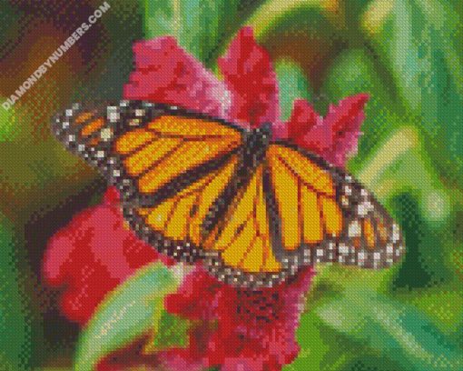 diamond paintings