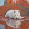 diamond painting