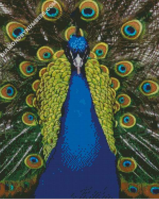 diamond paintings