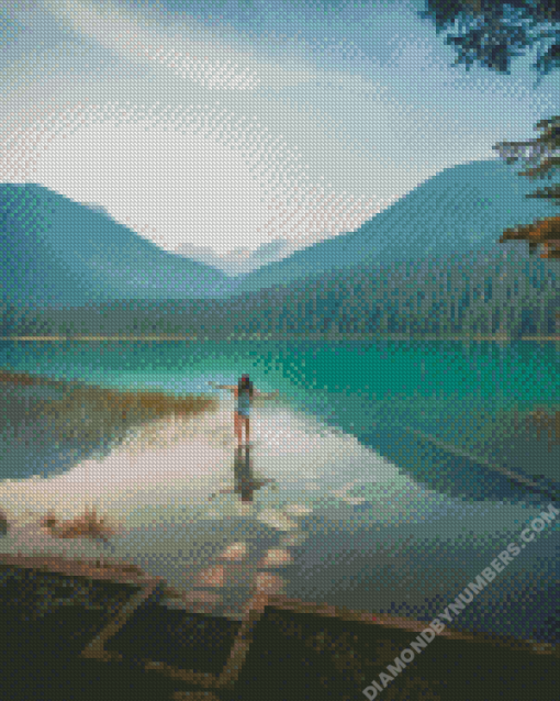diamond paintings