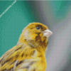 diamond paintings