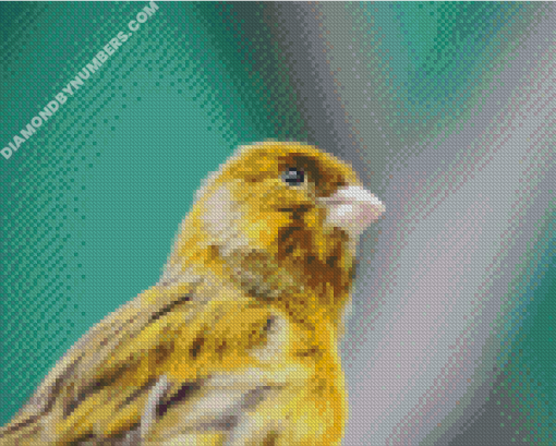 diamond paintings