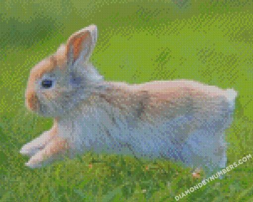 diamond painting