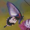 diamond painting