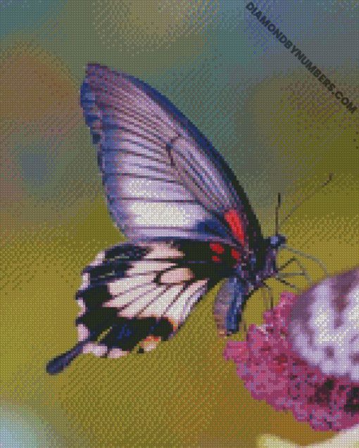 diamond painting