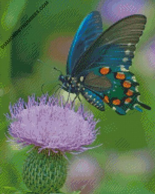 diamond paintings