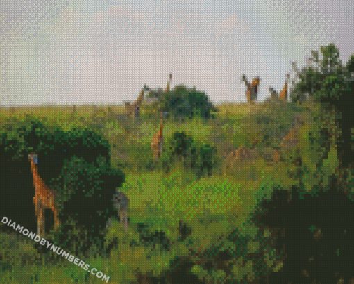 diamond painting