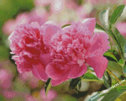 diamond painting
