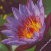 diamond painting