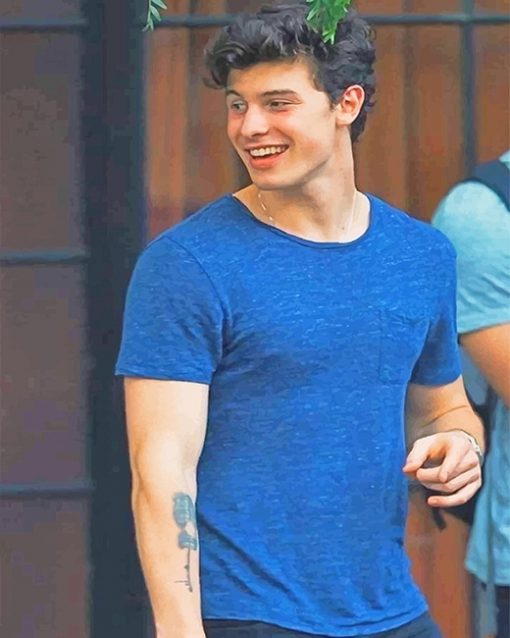 Handsome Shawn Mendes Smiling Paint by numbers