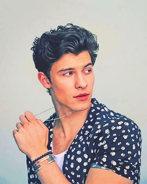 Shawn Mendes Paint By Numbers