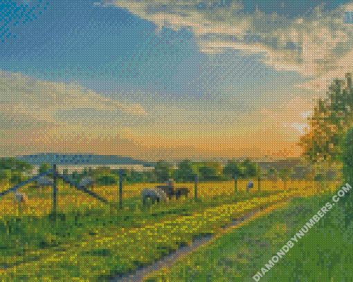 diamond painting