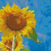 diamond painting