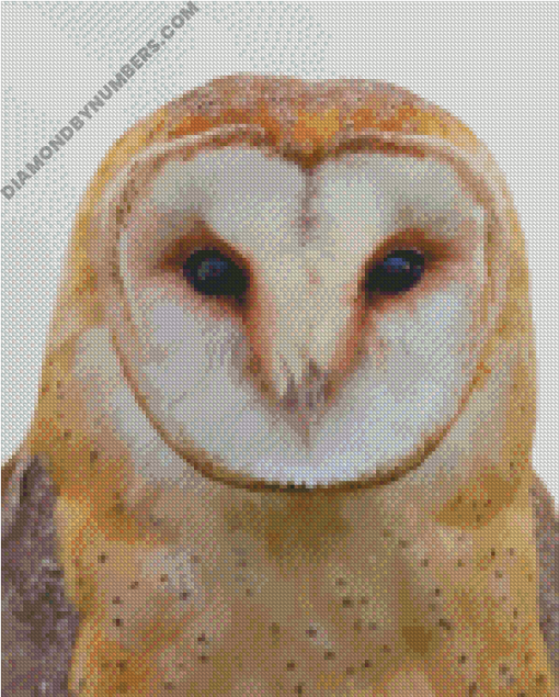 diamond painting