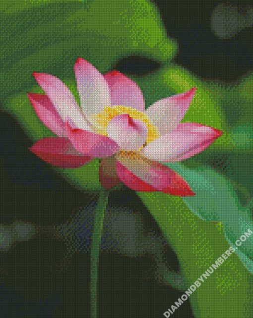 diamond painting
