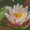 diamond painting