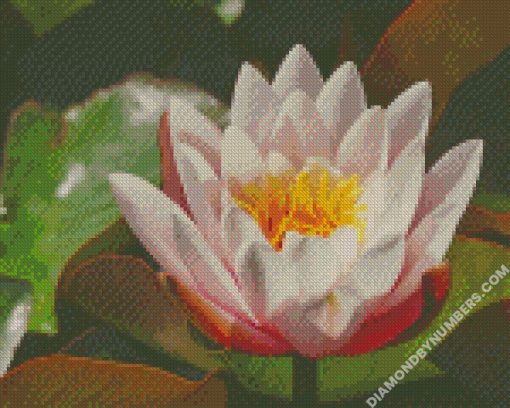 diamond painting