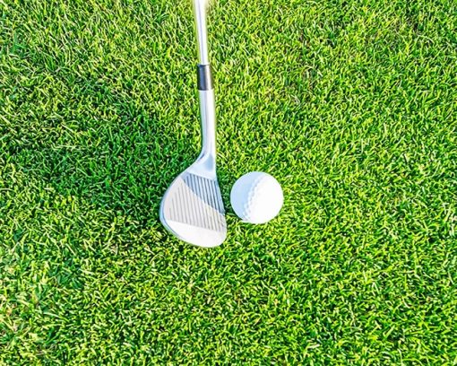 ball with golf club adult paint by numbers