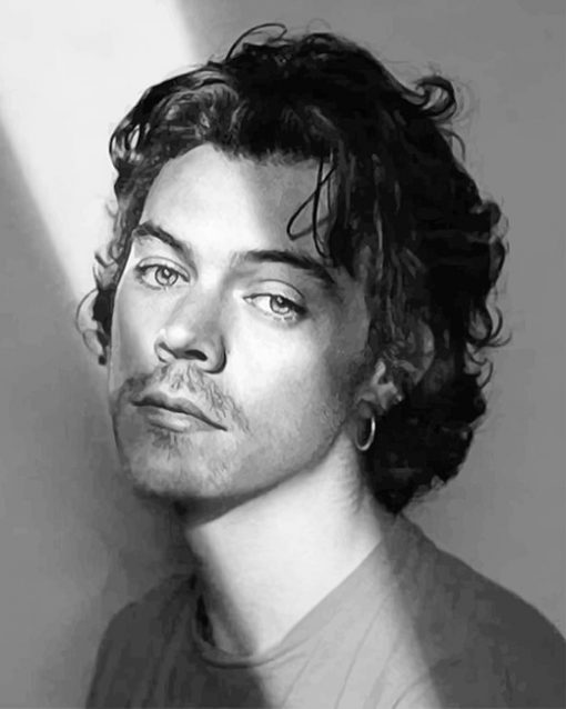 Black & white Harry Edward Styles Paint By Numbers