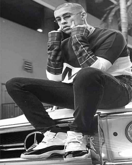 Bad Bunny Black And White paint by number