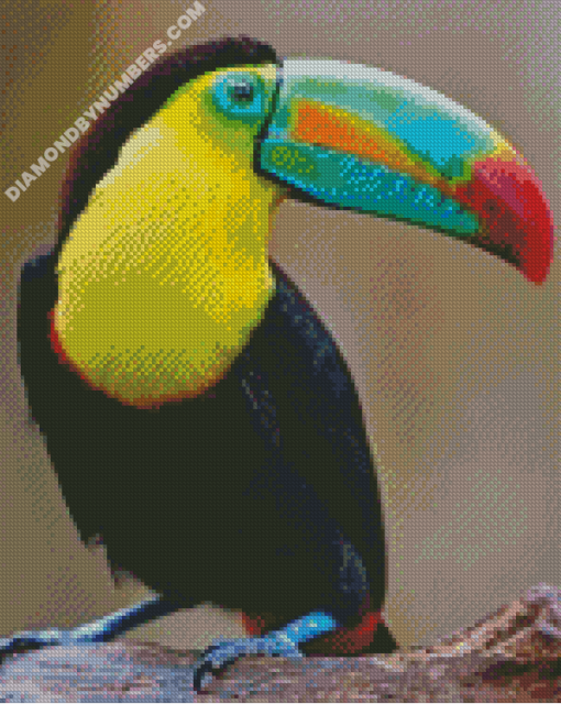 diamond paintings