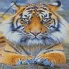 diamond paintings