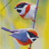 diamond painting