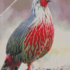 diamond painting