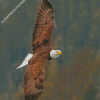 diamond painting