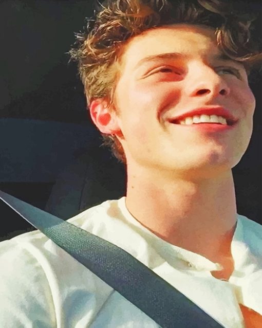 Cute shawn mendes adult paint by numbers