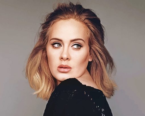 Gorgeous Adele Wearing Black adult paint by numbers
