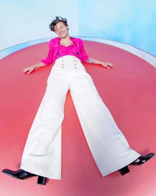 Harry Styles Wearing Pink Paint By Numbers