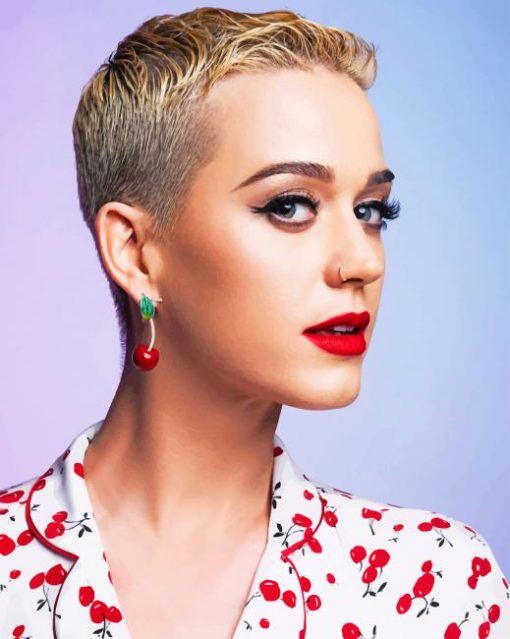 Katy Perry Short Hair adult paint by numbers