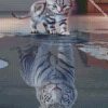 diamond painting