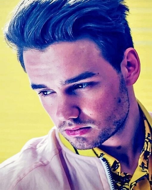 Liam Payne one direction adult paint by numbers