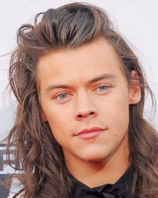 Long Hair Harry Styles Paint By Numbers