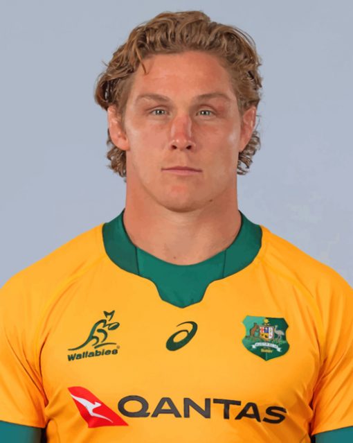Michael Hooper player paint by number