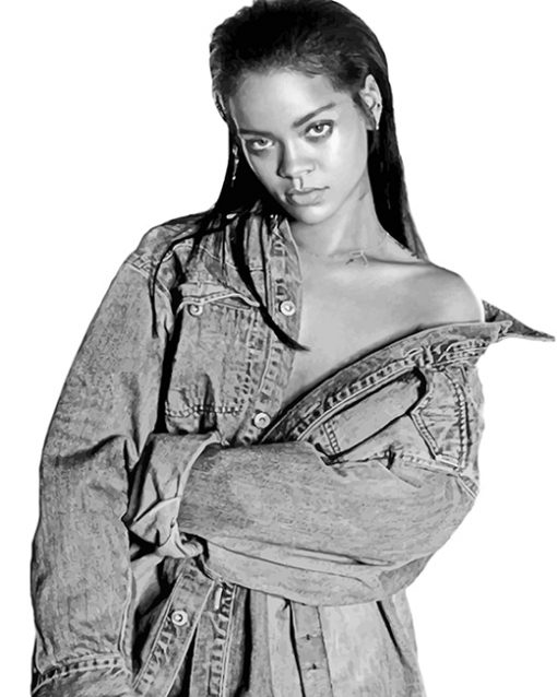 Black And White Rihanna paint by number