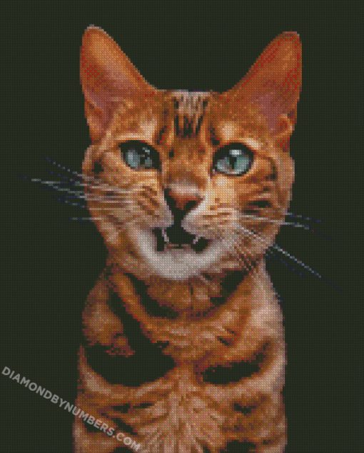 diamond painting