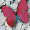 diamond painting