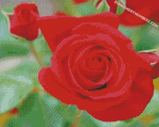 diamond paintings