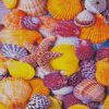 beautiful seashells diamond paintings