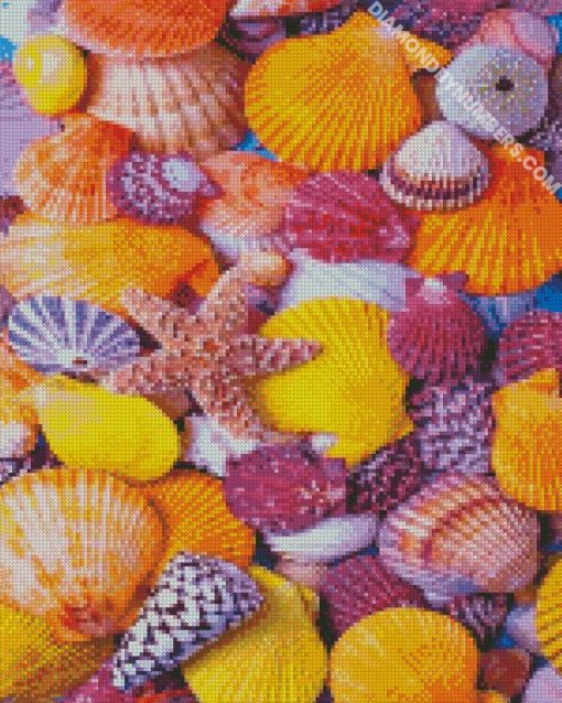 beautiful seashells diamond paintings