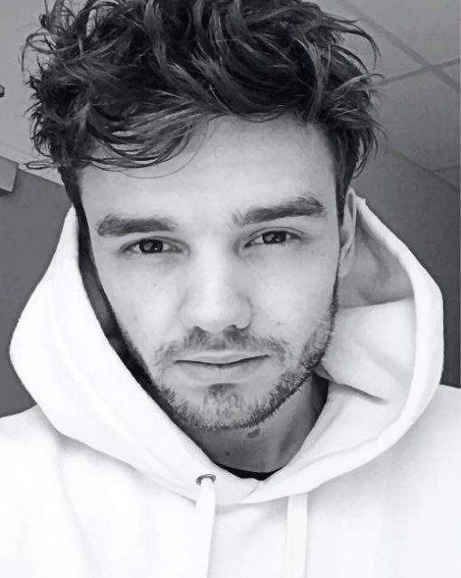 Black And White Liam Payne Paint By numbers