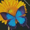 diamond paintings
