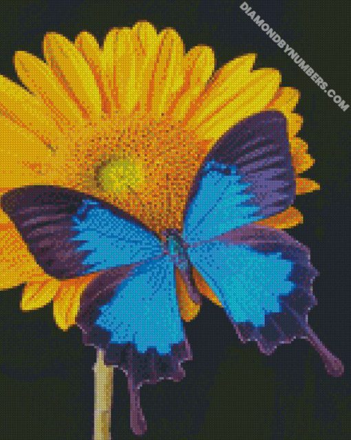 diamond paintings